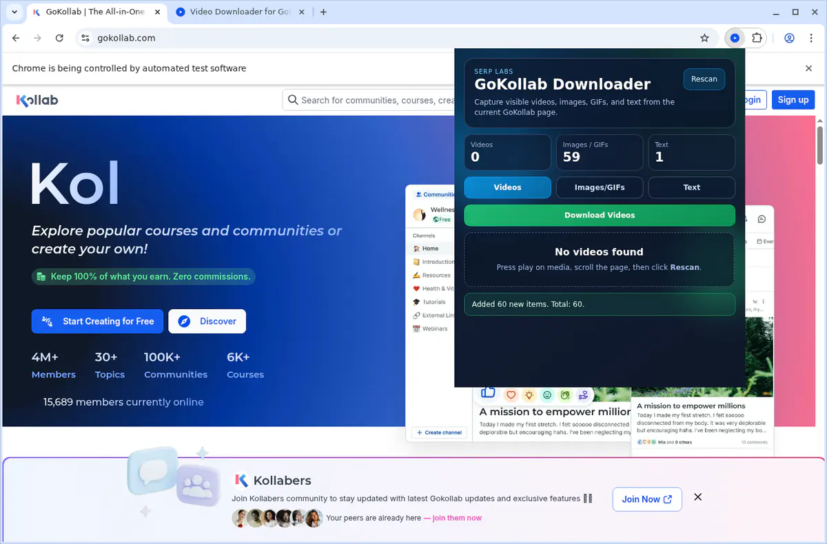 Gokollab Video Downloader browser extension screenshot 3